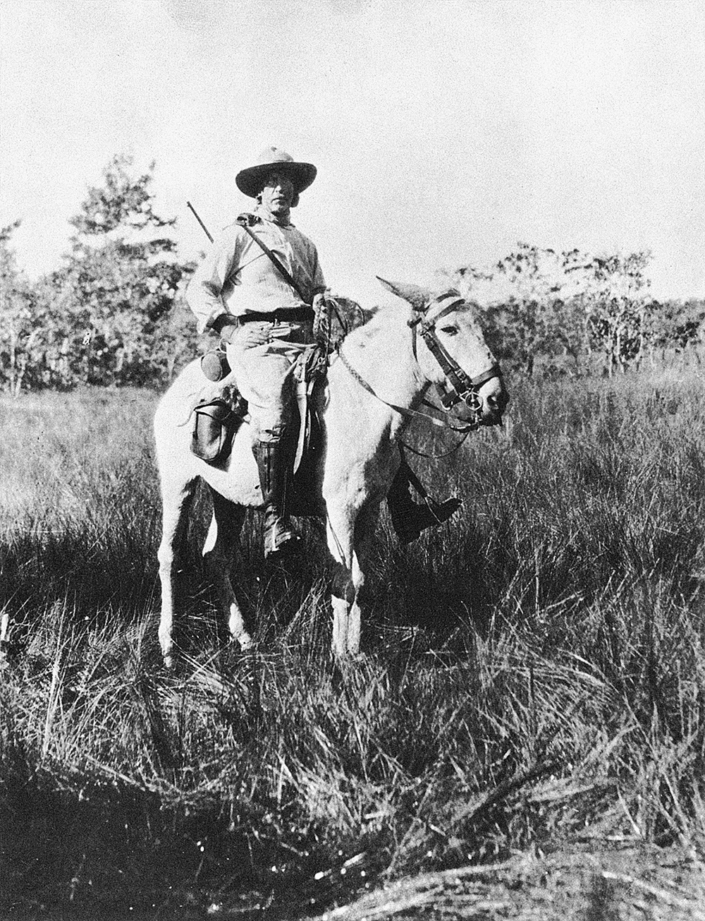Percy Fawcett